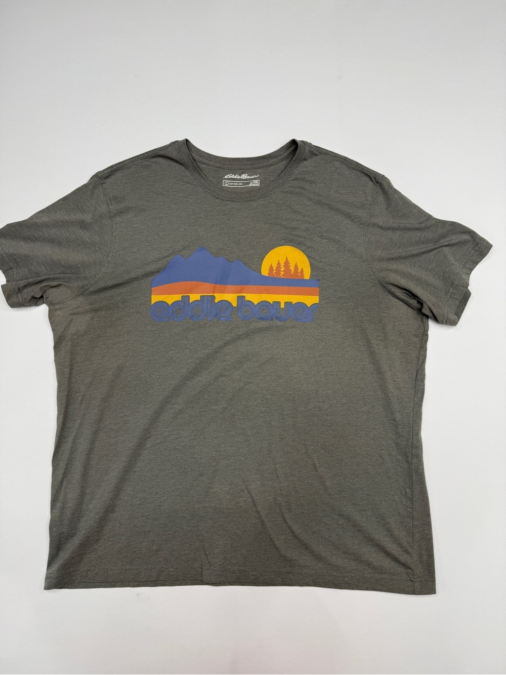 Eddie Bauer Retro Mountain Graphic T-Shirt Gray